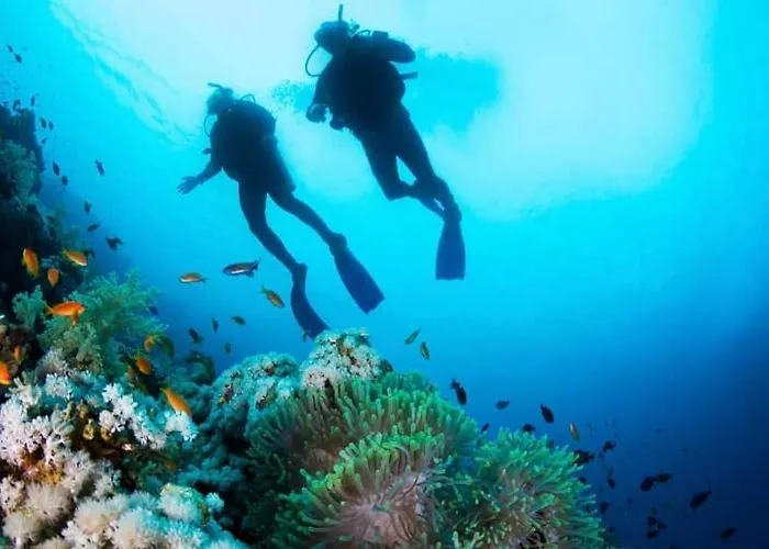 Casa Alpine - 2 Bedroom With Large Terrace *